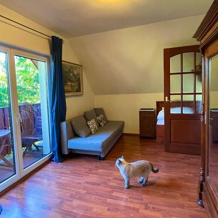 Dom Na Jezynowym Wzgorzu - Blackberry Hill Cottage Radziechowy Экстерьер фото